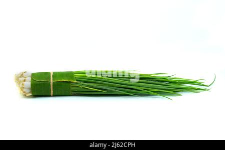 Isolierte Packung mit frischen Frühlingszwiebeln oder Frühlingszwiebeln auf weißem Hintergrund, Verpackung für den Verkauf im Konzept von Bio-frischem Gemüse, mit Bananenblatt zu wr Stockfoto