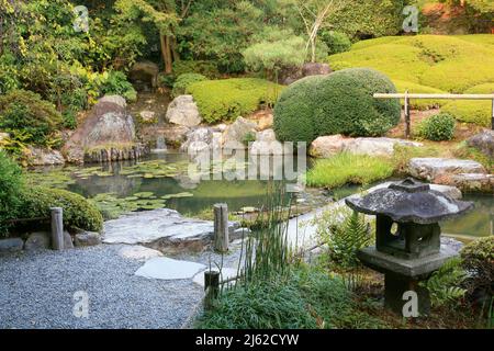 Ein neuer Teichgarten oder yoko-en-Tempel von Taizo-in mit einem Bach, der um Felsen und Azaleen stürzt und sich in einen Pool leert. Kyoto. Japan Stockfoto