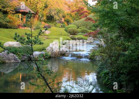 Ein neuer Teichgarten oder yoko-en-Tempel von Taizo-in mit einem Bach, der um Felsen und Azaleen stürzt und sich in einen Pool leert. Kyoto. Japan Stockfoto