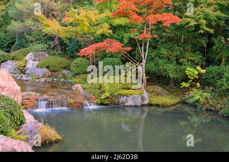 Ein neuer Teichgarten oder yoko-en-Tempel von Taizo-in mit einem Bach, der um Felsen und Azaleen stürzt und sich in einen Pool leert. Kyoto. Japan Stockfoto