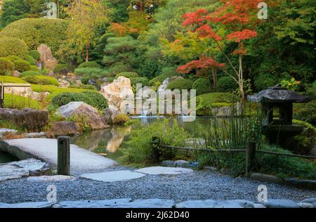 Ein neuer Teichgarten oder yoko-en von Taizo-in Tempel mit einem Bach, der um Felsen und Azaleen Teppich stürzt. Kyoto. Japan Stockfoto