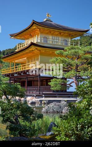 Der Blick auf Shining Kinkaku-ji Reliquien Halle (Shariden), allgemein bekannt als der Goldene Pavillon im Zen buddhistischen Rokuon-ji Tempel. Kyoto. Japan Stockfoto
