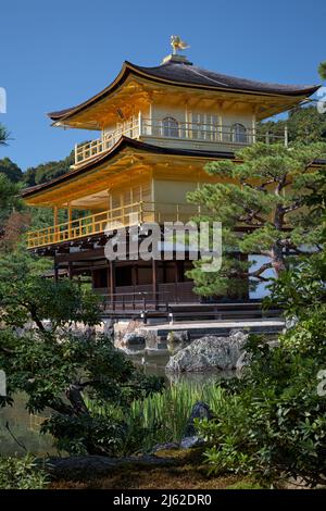 Der Blick auf Shining Kinkaku-ji Reliquien Halle (Shariden), allgemein bekannt als der Goldene Pavillon im Zen buddhistischen Rokuon-ji Tempel. Kyoto. Japan Stockfoto