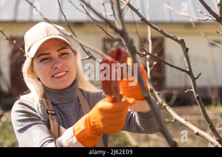 Baumschnitt im Herbstgarten. Nahaufnahme der Hände in gelben Handschuhen und Schneidescheren, die alte Äste beschneiden. Stockfoto