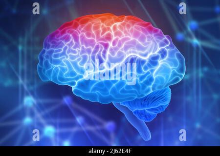 Menschliches Gehirn auf blauem Hintergrund. Aktive Teile des Gehirns. Computerdenken schaffen. 3D Illustration der Anwendung von Innovation in der Wissenschaft Stockfoto
