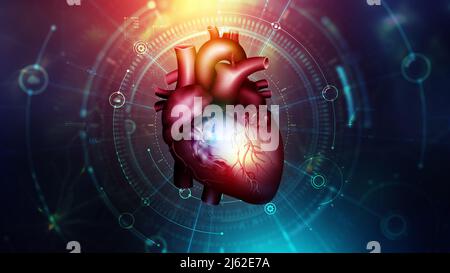 Menschliches Herz. Digitale Technologien in der Medizin und der wissenschaftlichen Körperforschung. 3D Modellierung in der Transplantologie der inneren Organe. 3D Abbildung Stockfoto