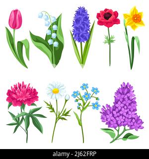 Set von Frühlingsblumen. Schönes dekoratives Bouquet von blühenden Pflanzen. Natürliche Illustration. Stock Vektor