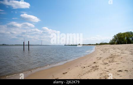 Hollern Twielenfleth, Deutschland. 26. April 2022. Die Sonne scheint am Elbestrand auf dem Meer Quelle: Melissa Erichsen/dpa/Alamy Live News Stockfoto