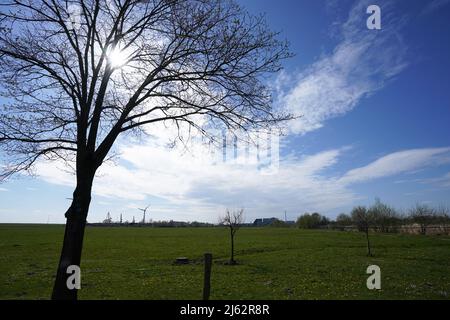 22. April 2022, Schleswig-Holstein, Brunsbüttel: Blick auf die Wiese, auf der ein LNG-Terminal errichtet werden soll. Der Kieler landtag hat in Brunsbüttel eine Beschleunigung des Baus eines Flüssig-Erdgas-Terminals eingeleitet. Vor dem Hintergrund des russischen Krieges gegen die Ukraine soll der LNG-Terminal dazu beitragen, die Abhängigkeit von Gasimporten aus Russland zu verringern. (Zur dpa 'landtag beschleunigt den Terminalbau für Erdgas in Brunsbüttel') Foto: Marcus Brandt/dpa Stockfoto