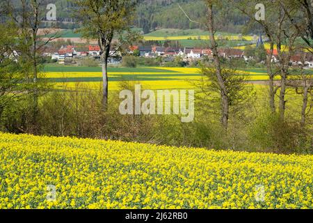 Blick auf Bodenfelde, Landkreis Northeim, Niedersachsen, Deutschland, Europa Stockfoto