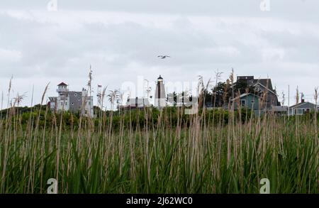 Blick durch hohes Strandgras auf den Point Judith Leuchtturm an einem bewölkten und regnerischen Tag mit einer Möwe, die im Wind fliegt. Stockfoto