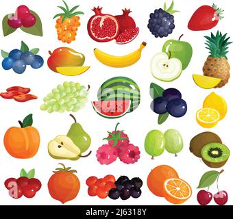 Frische saisonale Bauernmarkt Beeren tropischen und mediterranen köstlichen Früchten Bunte große Symbole Sammlung isoliert Vektor Illustration Stock Vektor