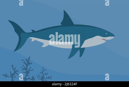 Prähistorischer Unterwasserhai Megalodon mit Flossen. Raubfische. Gruselige Kiefer mit Zähnen. Tierwelt der Jurassic Periode. Vektorgrafik Stock Vektor