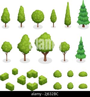 Isometrischer Satz von Parkpflanzen mit grünen Bäumen und Sträuchern Von verschiedenen Formen isoliert Vektor-Illustration Stock Vektor