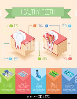 Zahnarzt Infografiken mit isometrischer Schnittansicht von Zahnfleisch und Zähnen Mit Bildern von Zahnpflege liefert Vektor-Illustration Stock Vektor