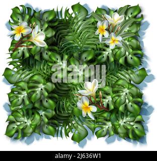 Realistisches Vektorbanner. Tropische Blätter in quadratischer, grüner Wand mit Frangipani-Blumen und Pflanzen. Isoliert auf weißem Hintergrund. Stock Vektor