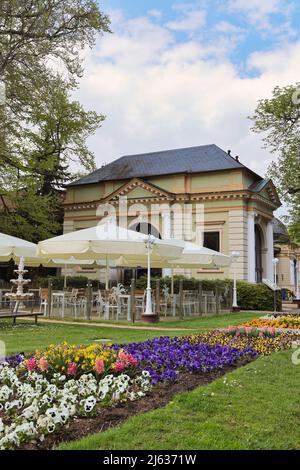 Palmen-Café in Bad Harzburg, Deutschland. Das Palm Cafe, eine Café-Bar mit Palmen, befindet sich im historischen Zentrum der Kurstadt, dem Pump Room und dem Foyer. Stockfoto