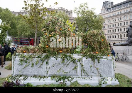 Trafalgar Square, London, Großbritannien. 27. April 2022. Der Trafalgar Square ist im Rahmen der „Big Rewild Campaign“ von Innozenz für den Tag mit Gras, Pflanzen und Bäumen übersät. Quelle: Malcolm Park/Alamy Live News Stockfoto