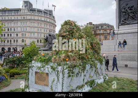 Trafalgar Square, London, Großbritannien. 27. April 2022. Der Trafalgar Square ist im Rahmen der „Big Rewild Campaign“ von Innozenz für den Tag mit Gras, Pflanzen und Bäumen übersät. Quelle: Malcolm Park/Alamy Live News Stockfoto