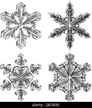 Farbige Schneeflocke schwarz und weiß Symbol Set vier realistisch isoliert ant sieht aus wie Glasvektordarstellung Stock Vektor