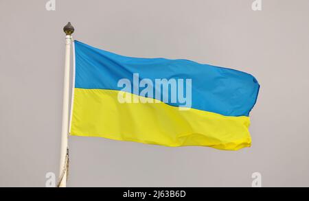 Die ukrainische Nationalflagge winkt im Wind gegen den bewölkten Himmel. Ukrainische Flagge auf Fahnenmast flattern Stockfoto