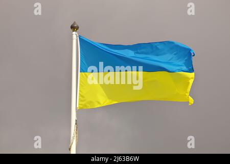Die ukrainische Nationalflagge winkt im Wind gegen den bewölkten Himmel. Ukrainische Flagge auf Fahnenmast flattern Stockfoto