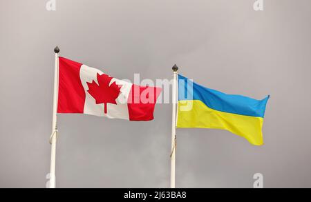 Kanadische und ukrainische Nationalflaggen winken im Wind gegen den bewölkten Himmel. Ukrainische und kanadische Flagge Stockfoto