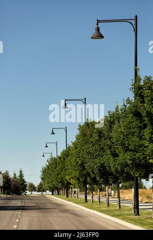 Eine von Bäumen gesäumte Straße mit schwarzen Lampen im Vintage-Stil in einer Reihe, die in die Ferne zurückweichen. Stockfoto