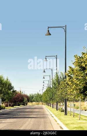 Eine von Bäumen gesäumte Straße mit schwarzen Lampen im Vintage-Stil in einer Reihe, die in die Ferne zurückweichen. Stockfoto