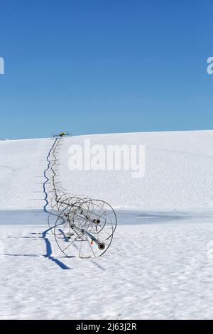 Ein Radlinen-Sprinkler auf einem Feld, im Winter mit Schnee auf dem Boden. Stockfoto