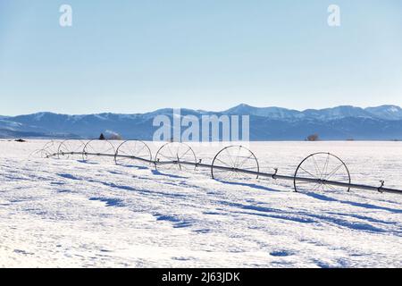 Ein Radlinen-Sprinkler auf einem Feld, im Winter mit Schnee auf dem Boden. Stockfoto