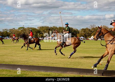 Polo-Spiel; schnelllebig; Spiel; Pferde, die auf dem Spielfeld herunterlaufen; Spieler, Menschen; Sport; Bewegung, Zuschauer, grünes Gras, Wettbewerb, Florida; Lakewood Ranch; Sa Stockfoto