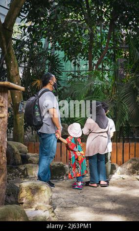 Familie verbringt Tag im Zoo. Bauernhof in der Stadt. Stockfoto