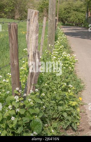 Aachen Eilendorf Landschaft Stockfoto