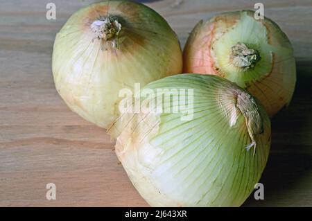 HAYDOCK. ST. HELENS. LANCASHIRE. 09-07-20. Studiobild von drei Zwiebeln auf einem hölzernen Schneidebrett, das von einem nach Süden ausgerichteten Fenster beleuchtet wird. Stockfoto