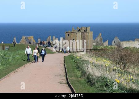 Dunnottar Castle, Stonehaven, Aberdeenshire, Schottland, Großbritannien. Besucher mit Schloss im Hintergrund. Eine zerstörte mittelalterliche Festung auf einer felsigen Landzunge an der Nordostküste Schottlands, etwa 2 Meilen südlich von Stonehaven. Die erhaltenen Gebäude stammen größtenteils aus dem 15.. Und 16.. Jahrhundert, aber es wird angenommen, dass die Stätte im frühen Mittelalter befestigt wurde. Auf einem 160 Meter hohen Felsen gelegen und auf drei Seiten von der Nordsee umgeben, waren diese dramatischen und eindrucksvollen Ruinen auf einer Klippe einst eine uneinnehmbare Festung des Earls Marischal, einst eine der mächtigsten Familien Schottlands. Stockfoto
