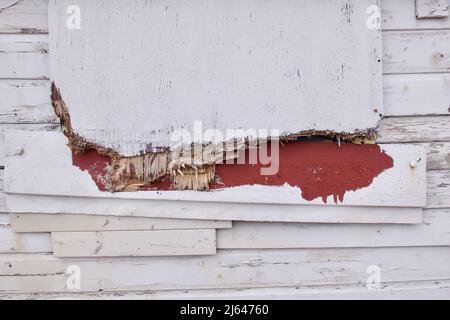 Blick auf zerbrochene Spanplatten auf weiß lackiertem Holzzaun Stockfoto