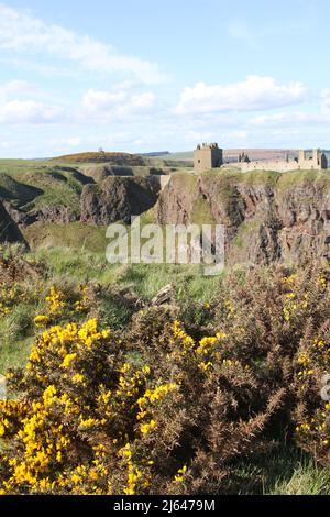 Dunnottar Castle,Stonehaven, Aberdeenshire, Schottland, Vereinigtes Königreich. Eine zerstörte mittelalterliche Festung auf einer felsigen Landzunge an der Nordostküste Schottlands, etwa 2 Meilen südlich von Stonehaven. Die erhaltenen Gebäude stammen größtenteils aus dem 15.. Und 16.. Jahrhundert, aber es wird angenommen, dass die Stätte im frühen Mittelalter befestigt wurde. Auf einem 160 Meter hohen Felsen gelegen und auf drei Seiten von der Nordsee umgeben, waren diese dramatischen und eindrucksvollen Ruinen auf einer Klippe einst eine uneinnehmbare Festung des Earls Marischal, einst eine der mächtigsten Familien Schottlands. Stockfoto