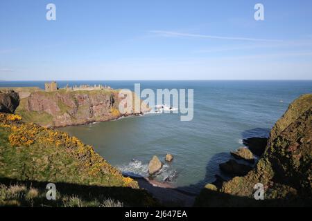 Dunnottar Castle,Stonehaven, Aberdeenshire, Schottland, Vereinigtes Königreich. Eine zerstörte mittelalterliche Festung auf einer felsigen Landzunge an der Nordostküste Schottlands, etwa 2 Meilen südlich von Stonehaven. Die erhaltenen Gebäude stammen größtenteils aus dem 15.. Und 16.. Jahrhundert, aber es wird angenommen, dass die Stätte im frühen Mittelalter befestigt wurde. Auf einem 160 Meter hohen Felsen gelegen und auf drei Seiten von der Nordsee umgeben, waren diese dramatischen und eindrucksvollen Ruinen auf einer Klippe einst eine uneinnehmbare Festung des Earls Marischal, einst eine der mächtigsten Familien Schottlands. Stockfoto