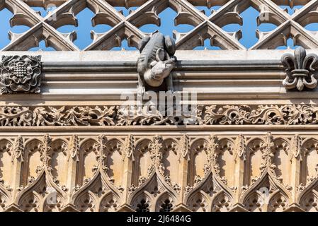 Wasserspeier, Tierdetails auf Westminster Abbey. Gotische Abteikirche in der City of Westminster, London, Großbritannien. Henry-VII-Kapelle am östlichen Ende der Abtei Stockfoto