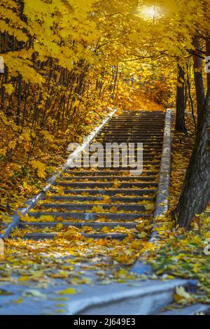 Einsame alte Steintreppe im leeren Herbstpark unter Blättern, Herbstwald. Konzept der Jahreszeiten, Nostalgie, Wege Stockfoto