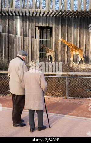 Lyon, Frankreich am 22. Januar 2019 besucht ein älteres Paar den Zoo Parc de la Tete d'Or in der Stadt Stockfoto