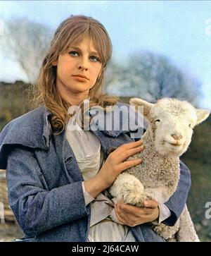 JULIE CHRISTIE, WEIT WEG VON DER MENGE, 1967 Stockfoto