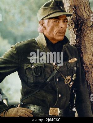 JAMES COBURN, EISENKREUZ, 1977 Stockfoto