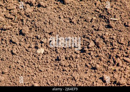 Bodenbeschaffenheit. Der Boden wird für die Pflanzung im Frühjahr vorbereitet. Stockfoto