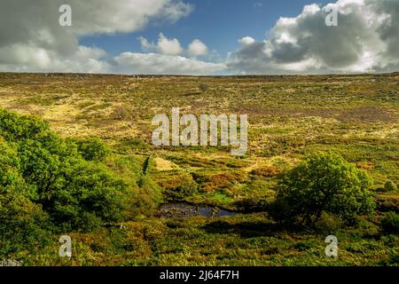 Das Tal von Wheeldale auf den North Yorkshire Moors. Der alte Lyke-Wake-Walk-Pfad führt talabwärts zu den Trittsteinen über den Beck. Stockfoto