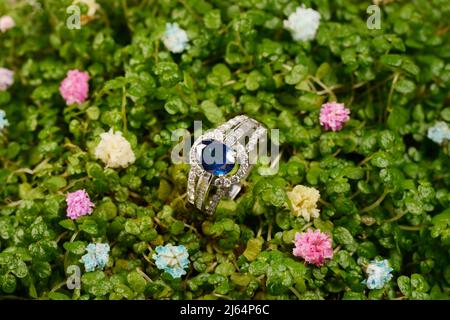 Damen-Platinring mit Diamanten und blauem Edelsapphire-Jemstone auf mikrogrünem Laub-Hintergrund und poliertem Holz, Nahaufnahme. Luxus-Hündin Stockfoto