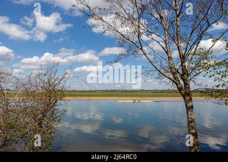 Rudern auf der Themse in der Nähe von Port Meadow in Oxford. Stockfoto