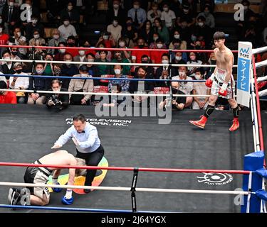 Tokio, Japan. 12. April 2022. Schiedsrichter Kazutoshi Yoshida beendet den Kampf, nachdem Taishin Isotani (rote Handschuhe) Kodai Hosoya (blaue Handschuhe) zum zweiten Mal in der ersten Runde während des Weltgewichtskampfes 4R in der Korakuen Hall in Tokio, Japan, am 12. April 2022, niedergeschlagen hatte. Quelle: Hiroaki Finito Yamaguchi/AFLO/Alamy Live News Stockfoto