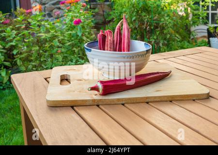 Frisch geerntete Jing-Orangen-Okra-Samenschoten im Freien auf einem Holztisch. Okra reift im Sommer und Herbst. Home gtown in Westchester County NY Stockfoto